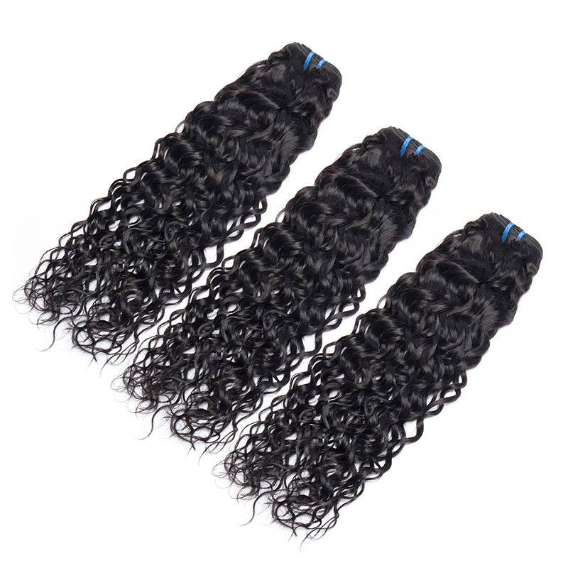 Queen Hair Inc Grade 8A+100% Unprocessed Human Hair 3 Bundles Hair+4x4 Lace Closure Water Wave Queen Hair Inc